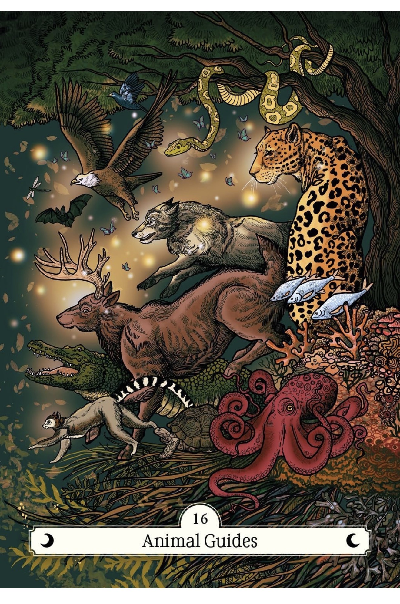The Witch's Way Home Oracle Cards - Emma Griffin - Image 4